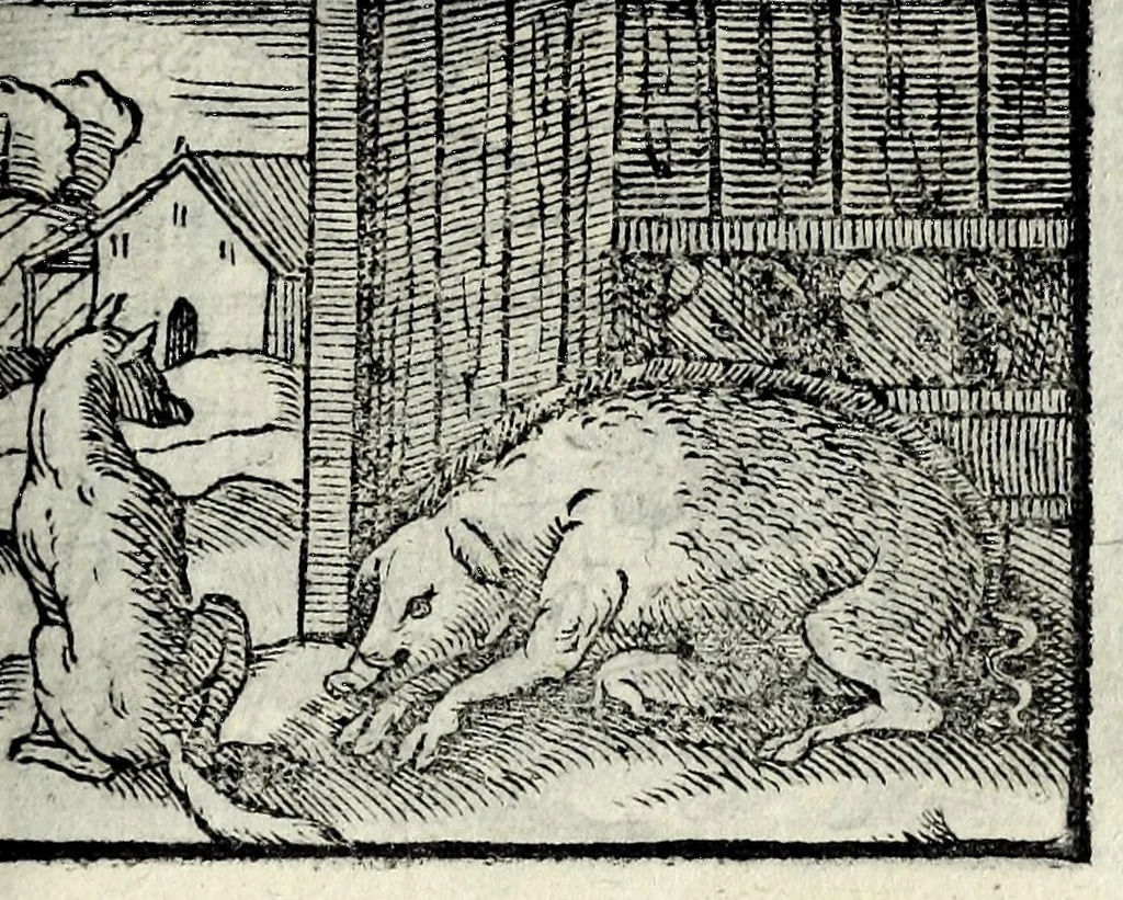 An illustration from Centvm fabvlae ex antiqvis scriptoribus acceptae, et graecis latinisq́; tetrastichis senarijs explicatae, 1587, leaf 133