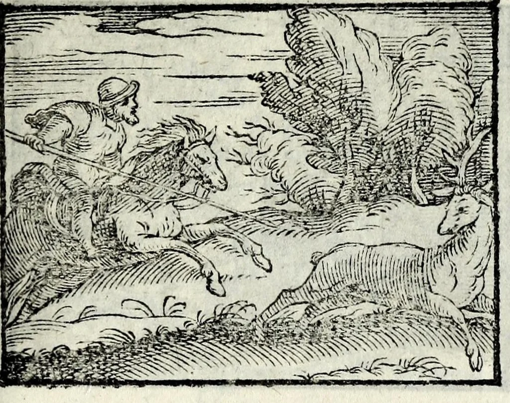 An illustration from Centvm fabvlae ex antiqvis scriptoribus acceptae, et graecis latinisq́; tetrastichis senarijs explicatae, 1587, leaf 135
