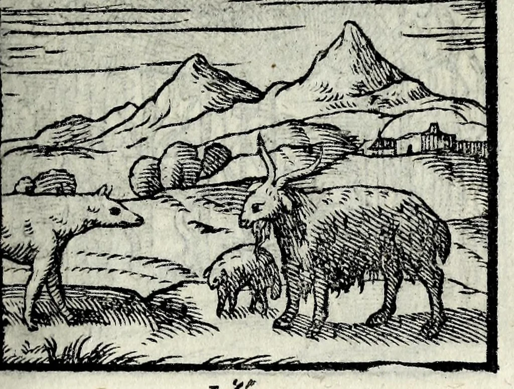 An illustration from Centvm fabvlae ex antiqvis scriptoribus acceptae, et graecis latinisq́; tetrastichis senarijs explicatae, 1587, leaf 137