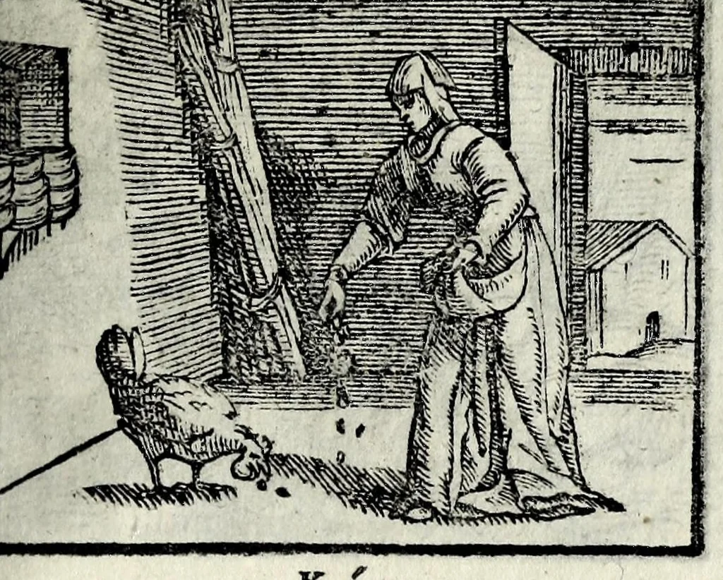 An illustration from Centvm fabvlae ex antiqvis scriptoribus acceptae, et graecis latinisq́; tetrastichis senarijs explicatae, 1587, leaf 141