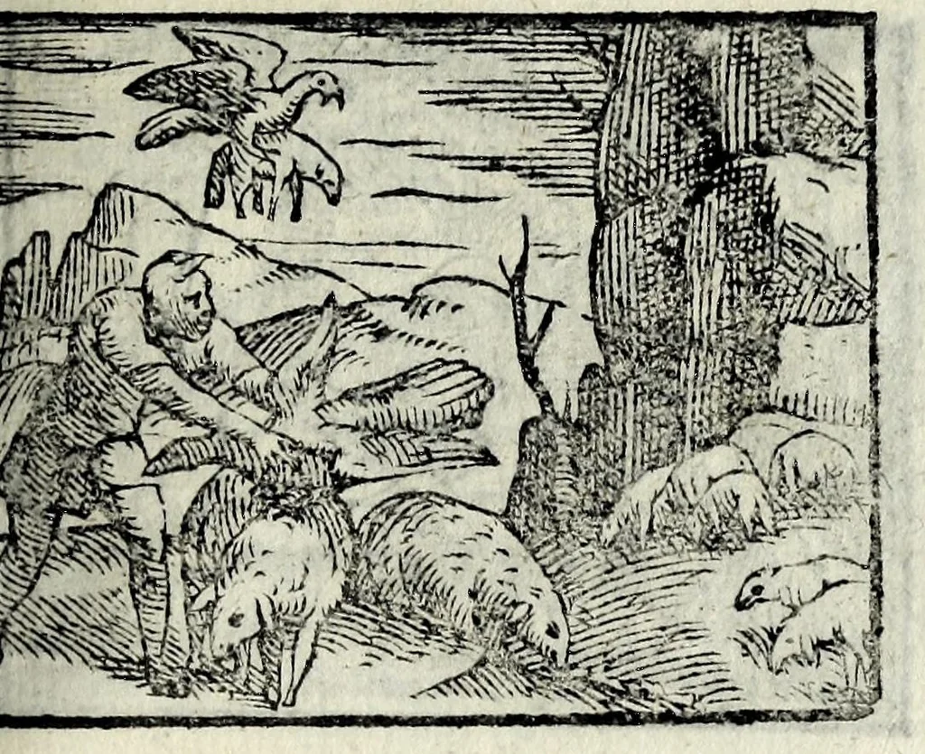 An illustration from Centvm fabvlae ex antiqvis scriptoribus acceptae, et graecis latinisq́; tetrastichis senarijs explicatae, 1587, leaf 145