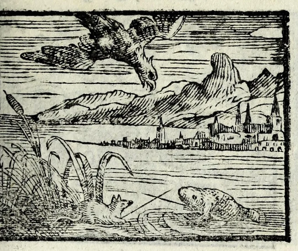 An illustration from Centvm fabvlae ex antiqvis scriptoribus acceptae, et graecis latinisq́; tetrastichis senarijs explicatae, 1587, leaf 147