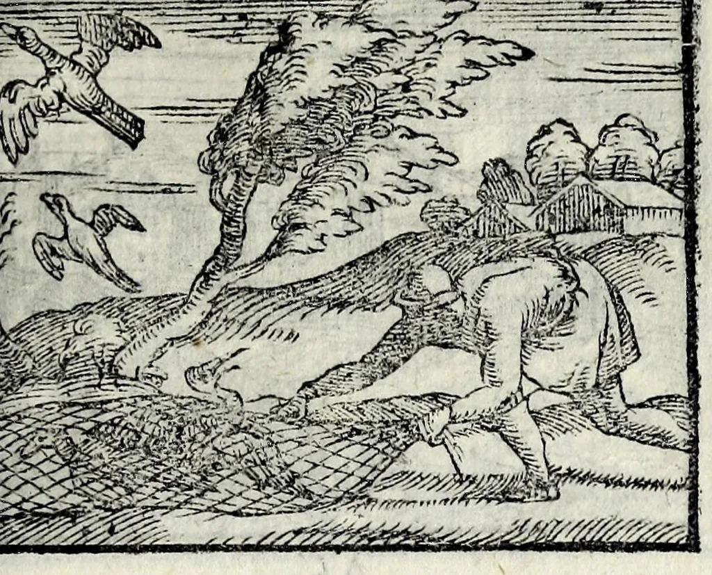 An illustration from Centvm fabvlae ex antiqvis scriptoribus acceptae, et graecis latinisq́; tetrastichis senarijs explicatae, 1587, leaf 151