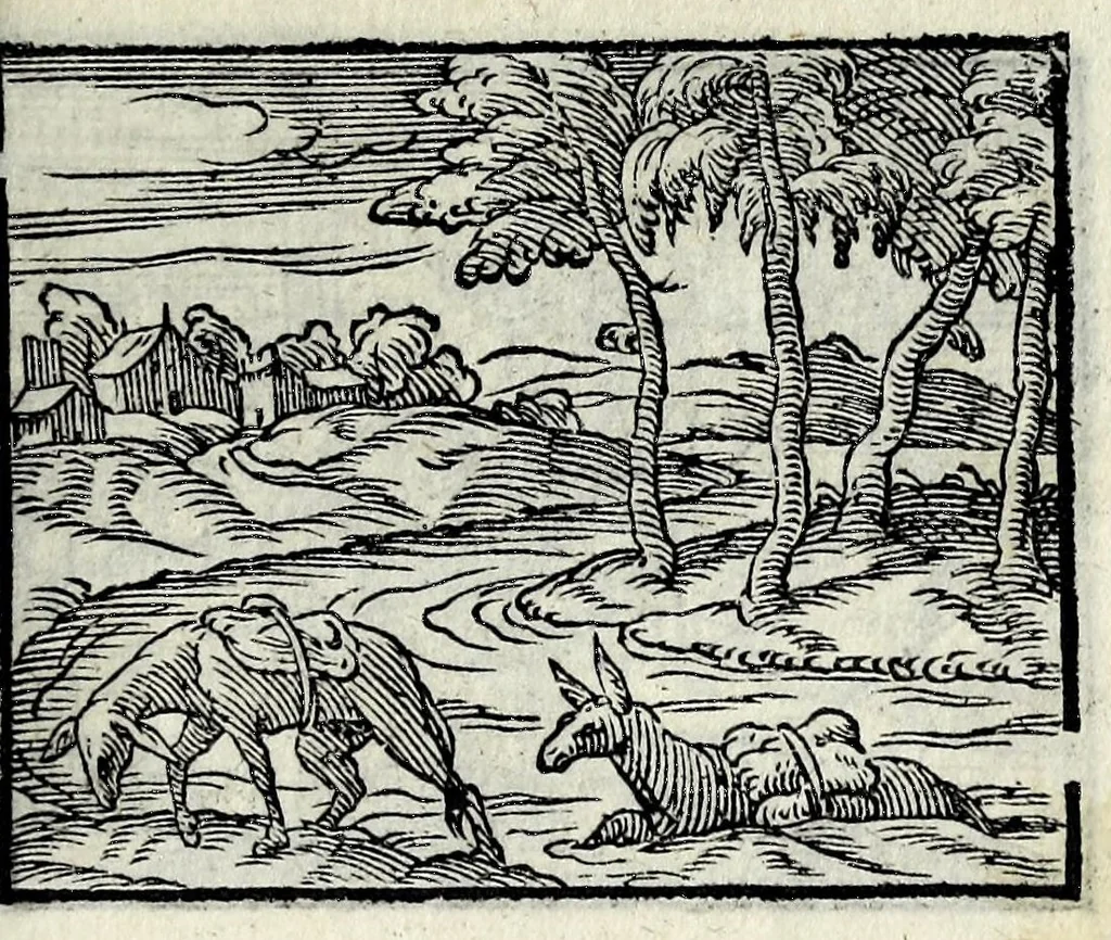 An illustration from Centvm fabvlae ex antiqvis scriptoribus acceptae, et graecis latinisq́; tetrastichis senarijs explicatae, 1587, leaf 153
