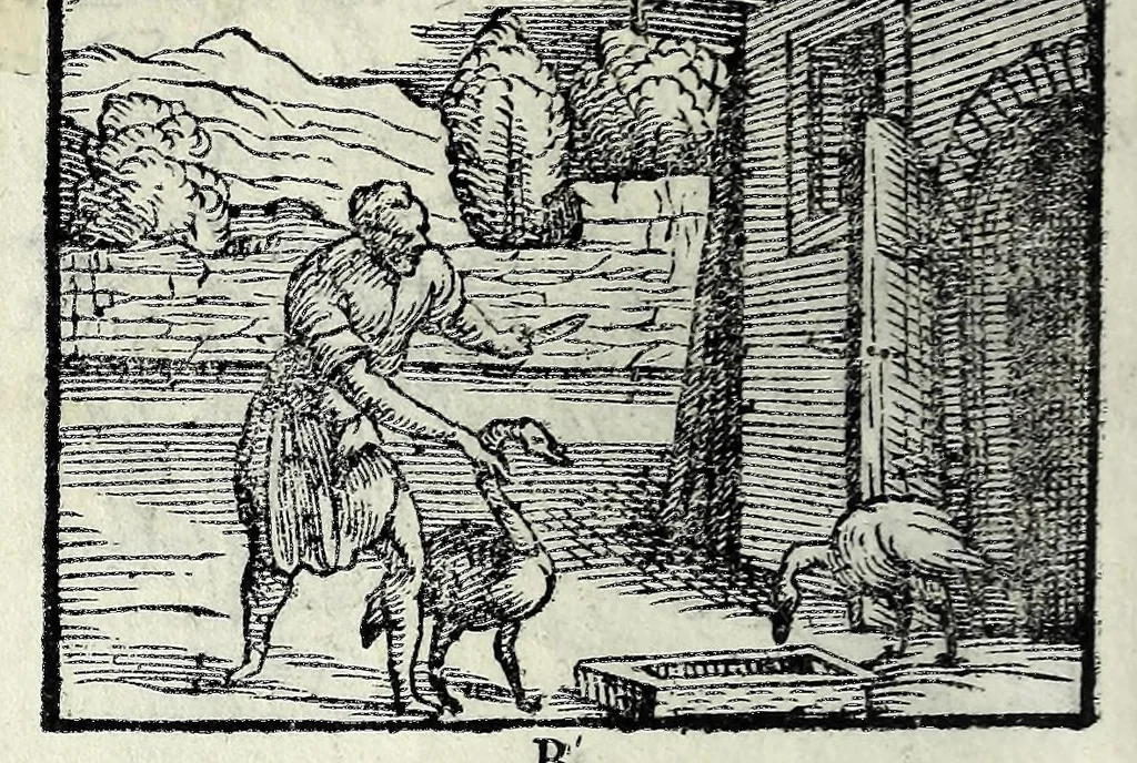 An illustration from Centvm fabvlae ex antiqvis scriptoribus acceptae, et graecis latinisq́; tetrastichis senarijs explicatae, 1587, leaf 16