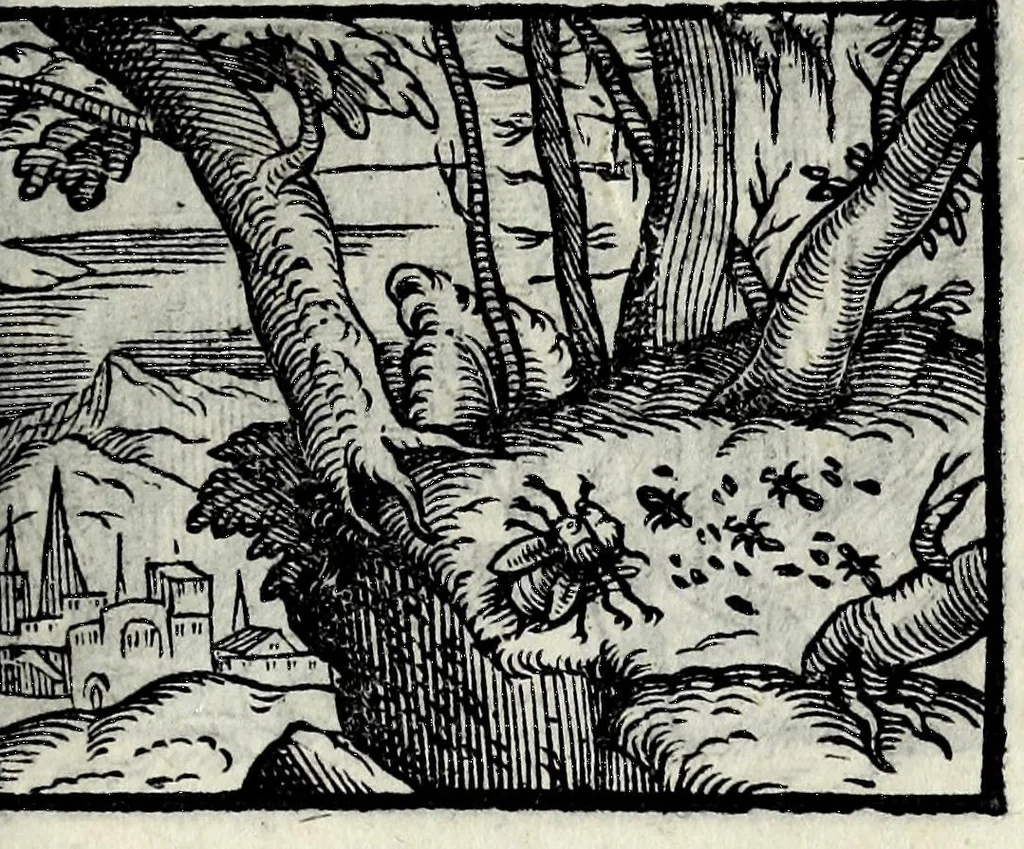 An illustration from Centvm fabvlae ex antiqvis scriptoribus acceptae, et graecis latinisq́; tetrastichis senarijs explicatae, 1587, leaf 161
