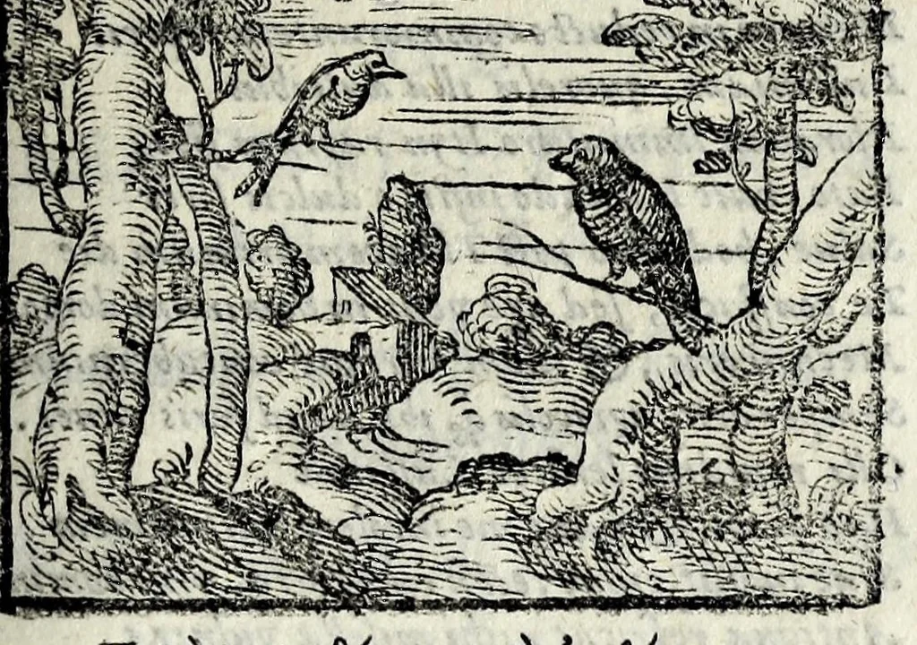 An illustration from Centvm fabvlae ex antiqvis scriptoribus acceptae, et graecis latinisq́; tetrastichis senarijs explicatae, 1587, leaf 163