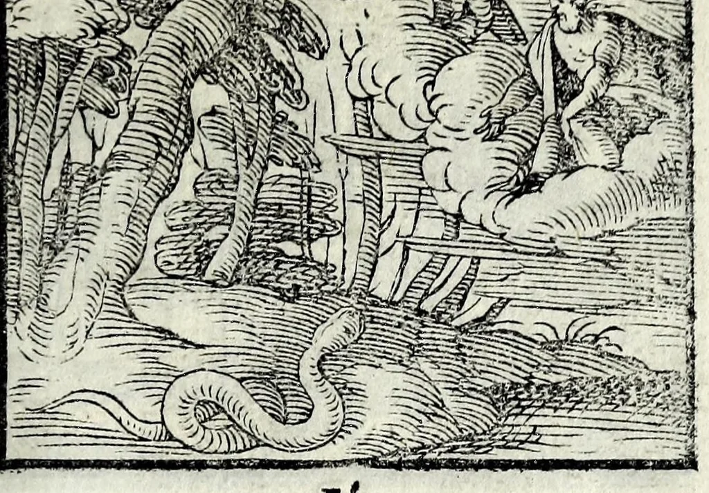 An illustration from Centvm fabvlae ex antiqvis scriptoribus acceptae, et graecis latinisq́; tetrastichis senarijs explicatae, 1587, leaf 19