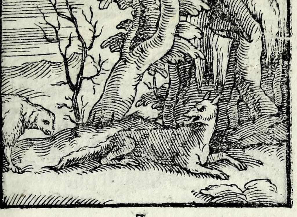 An illustration from Centvm fabvlae ex antiqvis scriptoribus acceptae, et graecis latinisq́; tetrastichis senarijs explicatae, 1587, leaf 21
