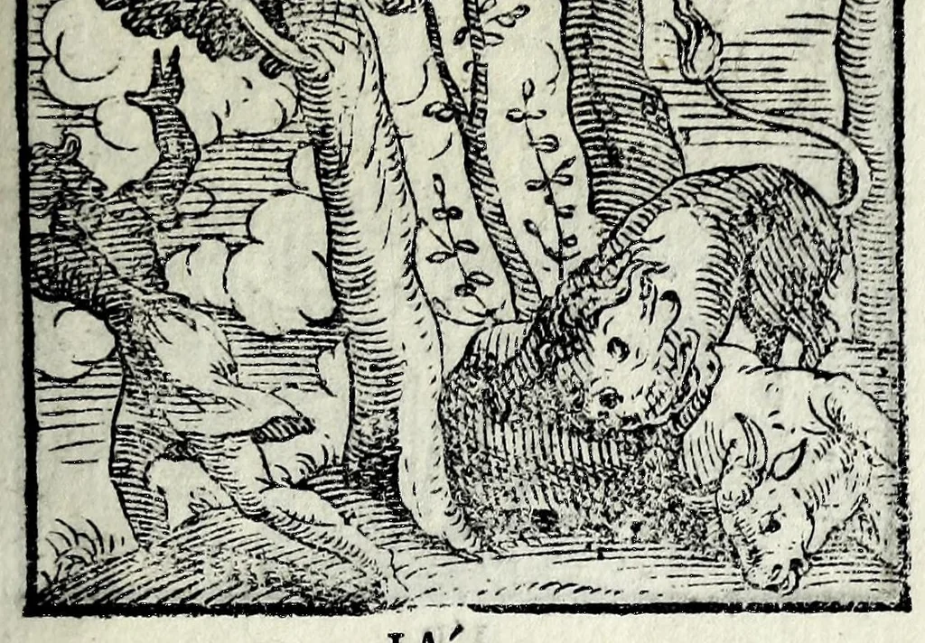 An illustration from Centvm fabvlae ex antiqvis scriptoribus acceptae, et graecis latinisq́; tetrastichis senarijs explicatae, 1587, leaf 25