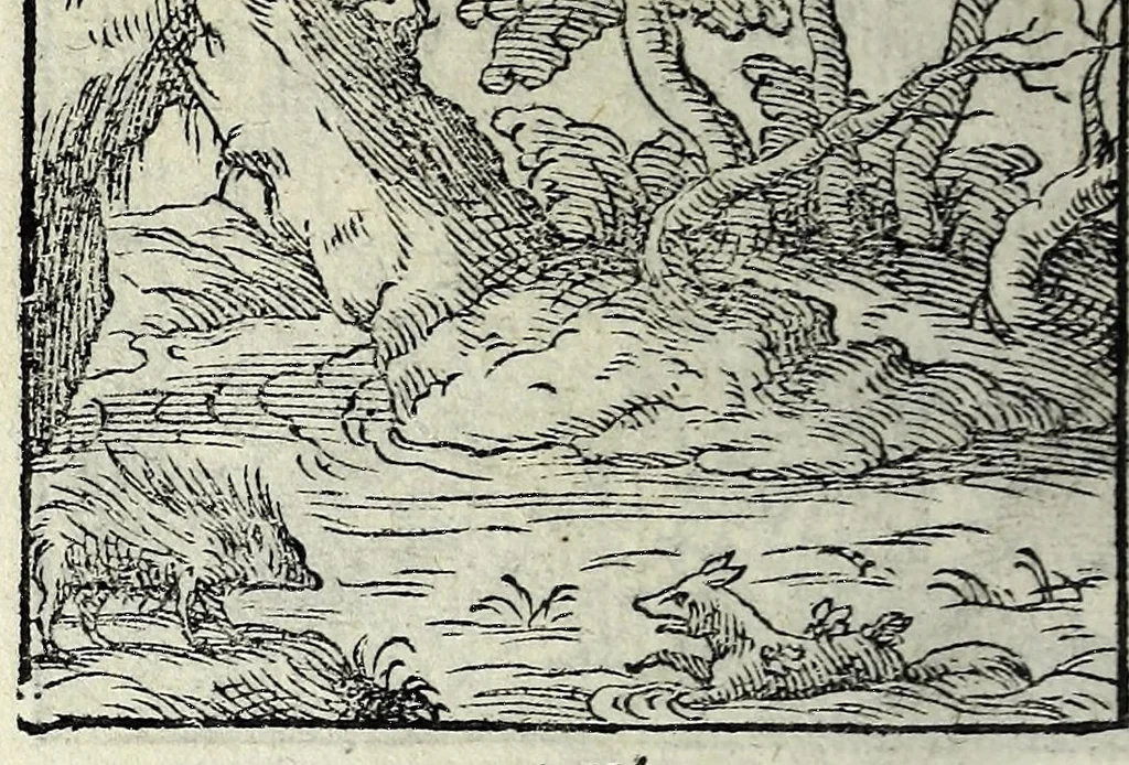 An illustration from Centvm fabvlae ex antiqvis scriptoribus acceptae, et graecis latinisq́; tetrastichis senarijs explicatae, 1587, leaf 32