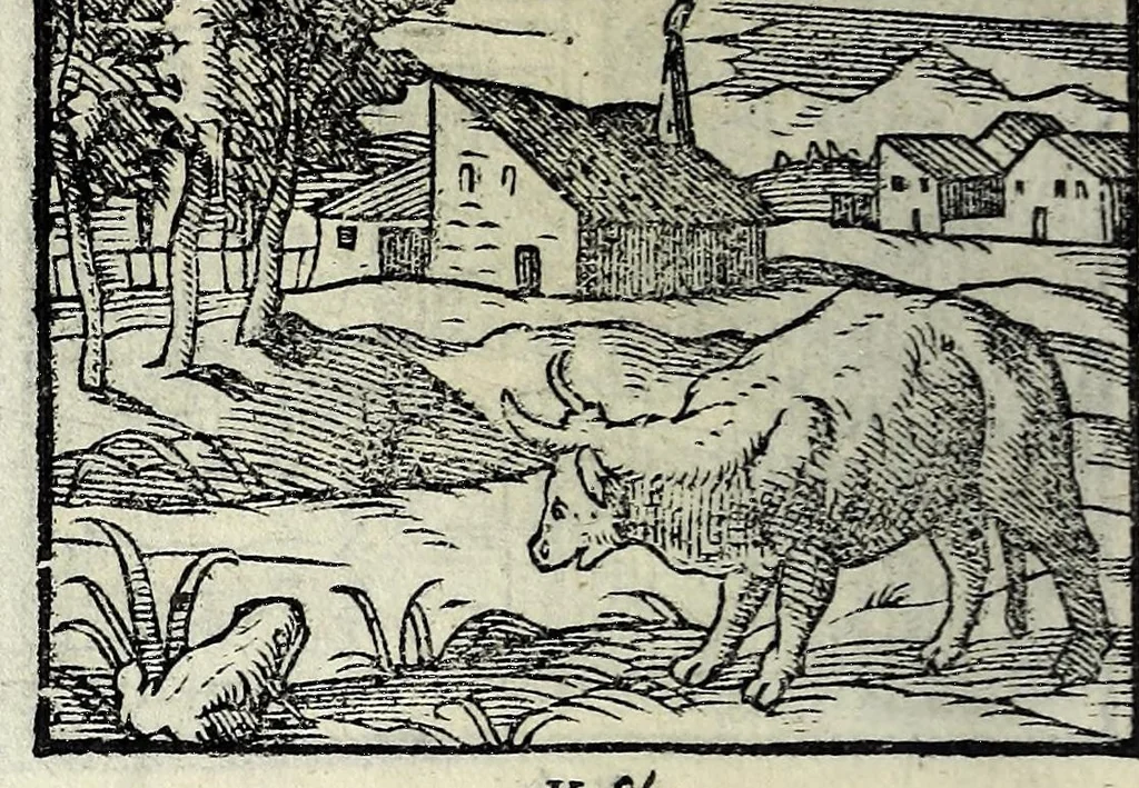 An illustration from Centvm fabvlae ex antiqvis scriptoribus acceptae, et graecis latinisq́; tetrastichis senarijs explicatae, 1587, leaf 36