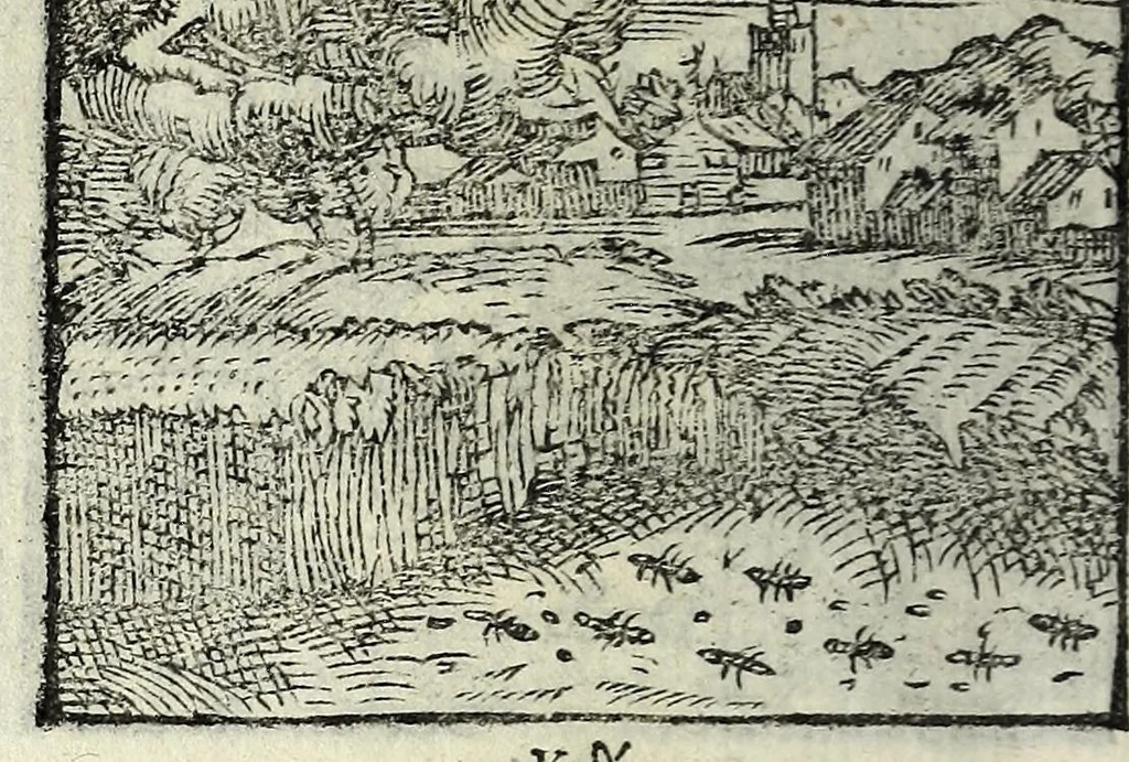 An illustration from Centvm fabvlae ex antiqvis scriptoribus acceptae, et graecis latinisq́; tetrastichis senarijs explicatae, 1587, leaf 38