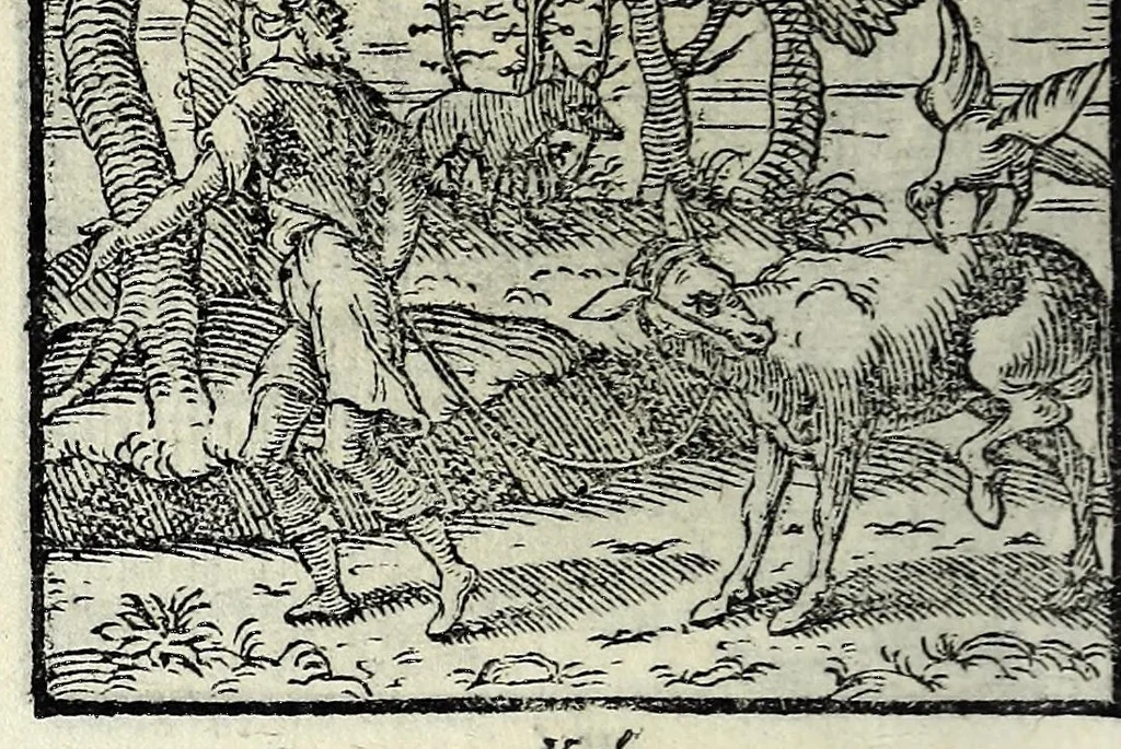 An illustration from Centvm fabvlae ex antiqvis scriptoribus acceptae, et graecis latinisq́; tetrastichis senarijs explicatae, 1587, leaf 40