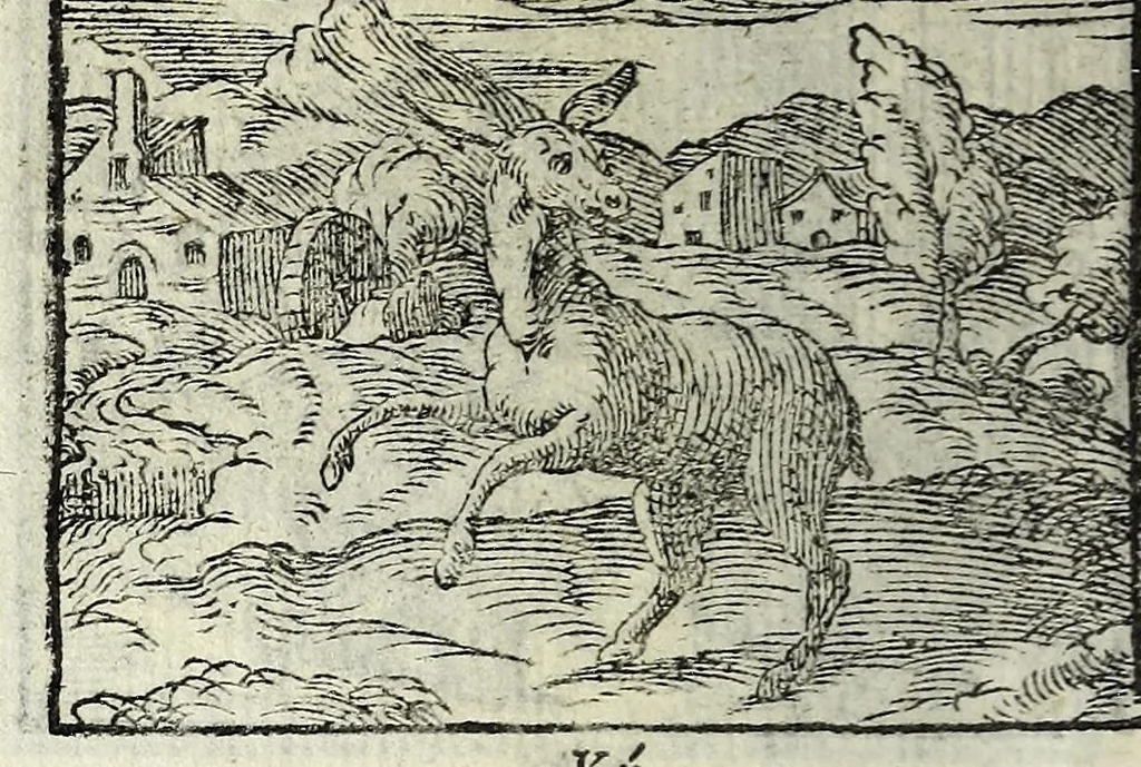 An illustration from Centvm fabvlae ex antiqvis scriptoribus acceptae, et graecis latinisq́; tetrastichis senarijs explicatae, 1587, leaf 42