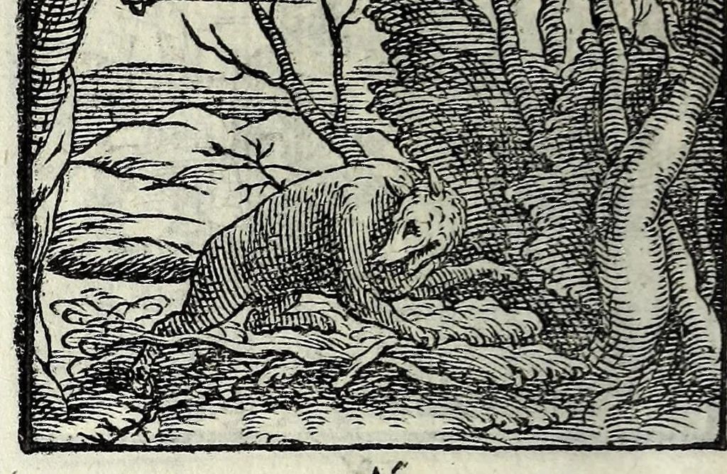 An illustration from Centvm fabvlae ex antiqvis scriptoribus acceptae, et graecis latinisq́; tetrastichis senarijs explicatae, 1587, leaf 44