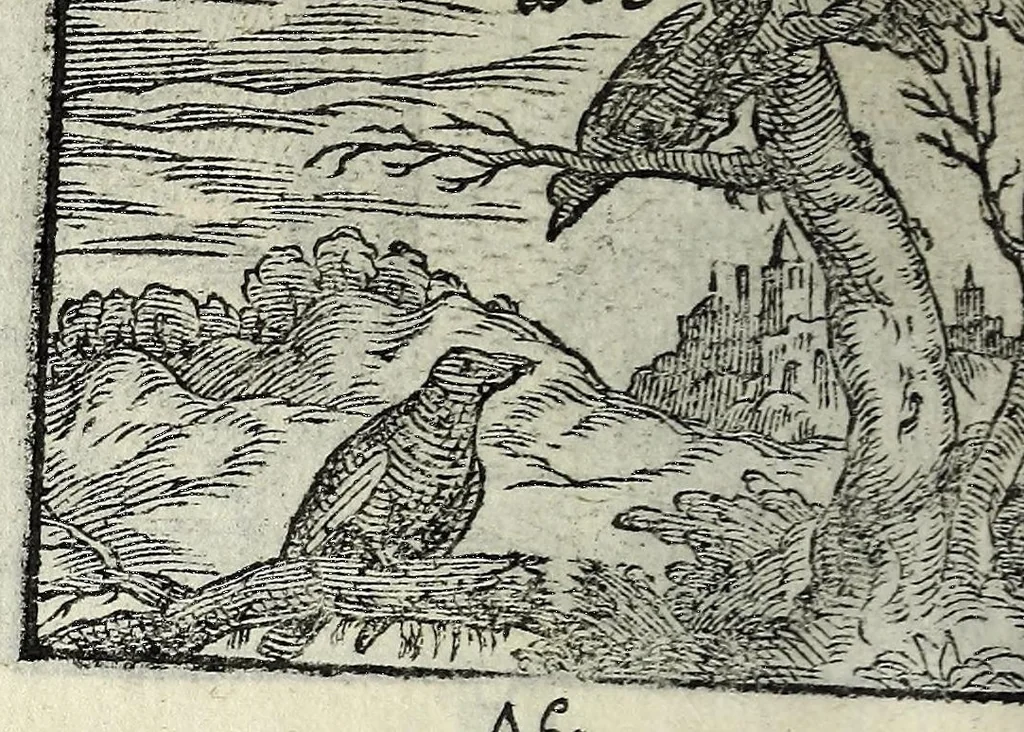 An illustration from Centvm fabvlae ex antiqvis scriptoribus acceptae, et graecis latinisq́; tetrastichis senarijs explicatae, 1587, leaf 46
