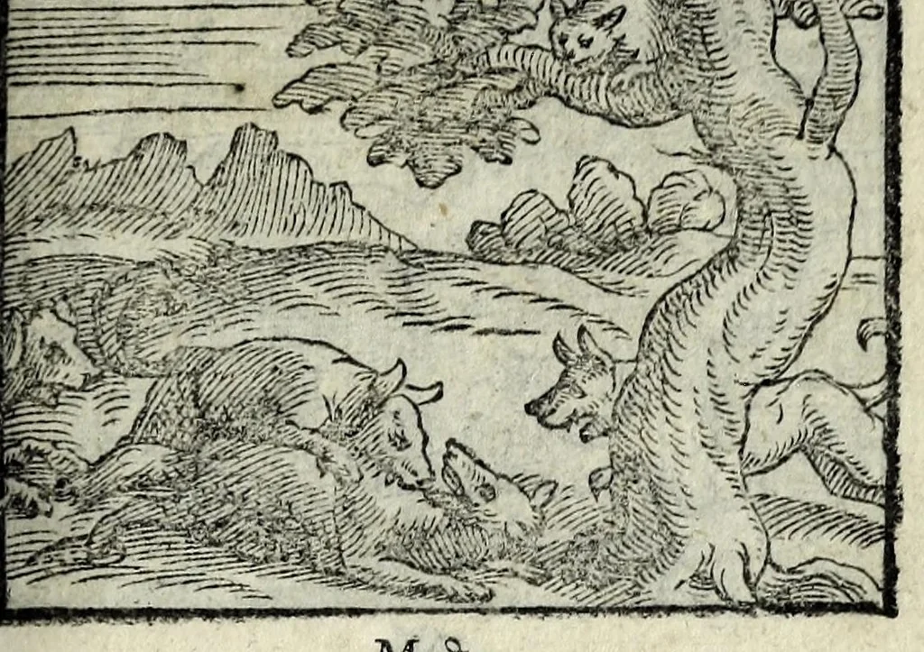 An illustration from Centvm fabvlae ex antiqvis scriptoribus acceptae, et graecis latinisq́; tetrastichis senarijs explicatae, 1587, leaf 63