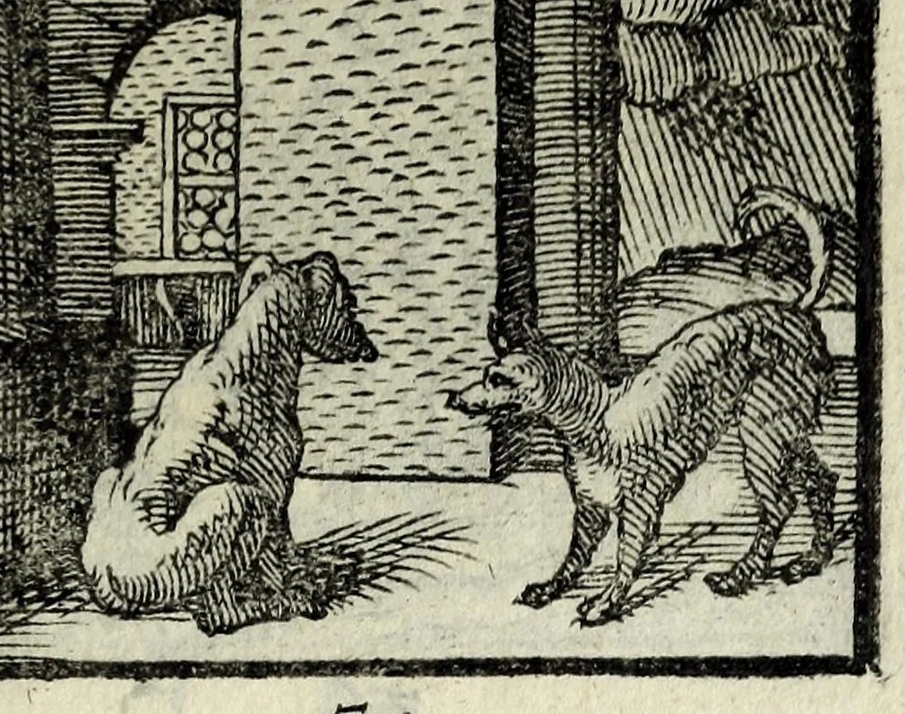 An illustration from Centvm fabvlae ex antiqvis scriptoribus acceptae, et graecis latinisq́; tetrastichis senarijs explicatae, 1587, leaf 75