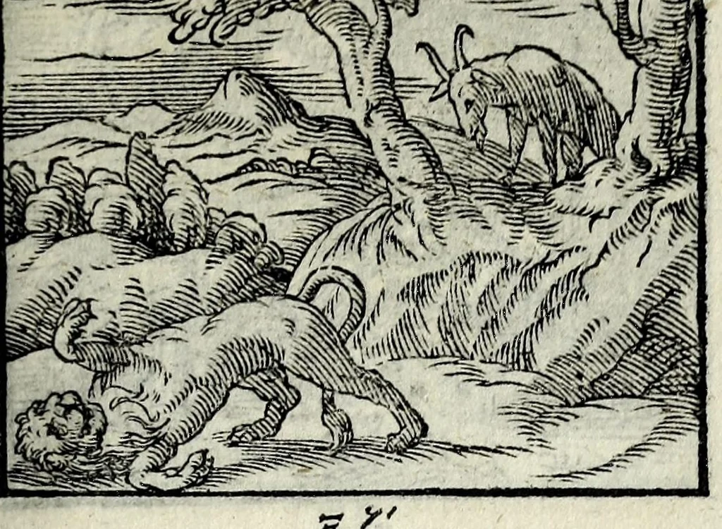 An illustration from Centvm fabvlae ex antiqvis scriptoribus acceptae, et graecis latinisq́; tetrastichis senarijs explicatae, 1587, leaf 81