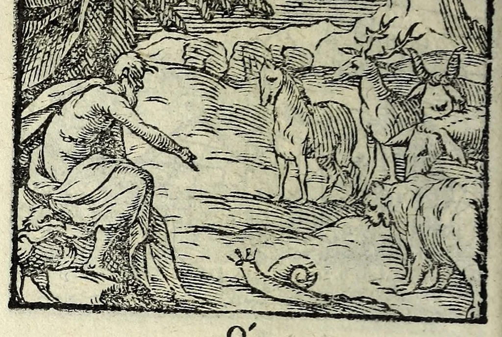 An illustration from Centvm fabvlae ex antiqvis scriptoribus acceptae, et graecis latinisq́; tetrastichis senarijs explicatae, 1587, leaf 84