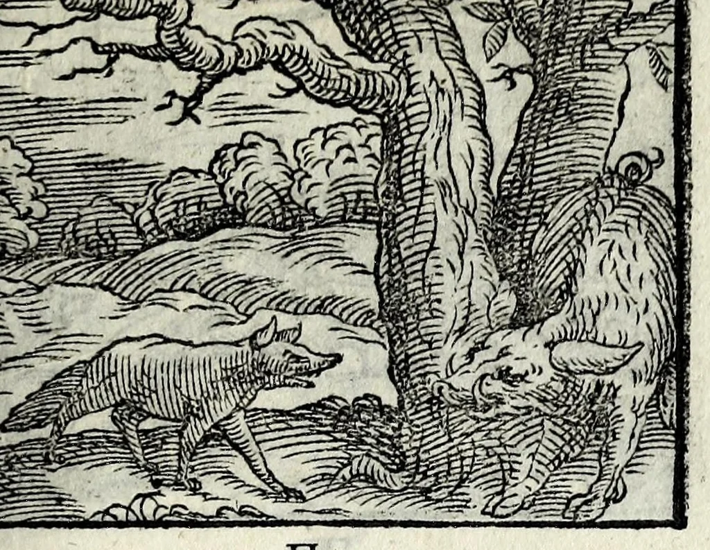 An illustration from Centvm fabvlae ex antiqvis scriptoribus acceptae, et graecis latinisq́; tetrastichis senarijs explicatae, 1587, leaf 99