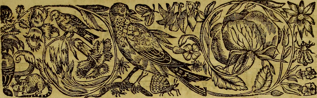 An illustration from Cephale | et | Procris | tragedie | mise| en musique, 1692, leaf 68