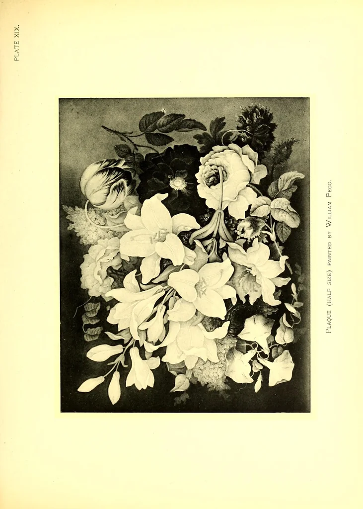 An illustration from The ceramics of Swansea and Nantgarw: a history of the factories. With biographical notices of the artists and others, notes on the merits of the porcelains, the marks thereon, etc, 1897, leaf 235