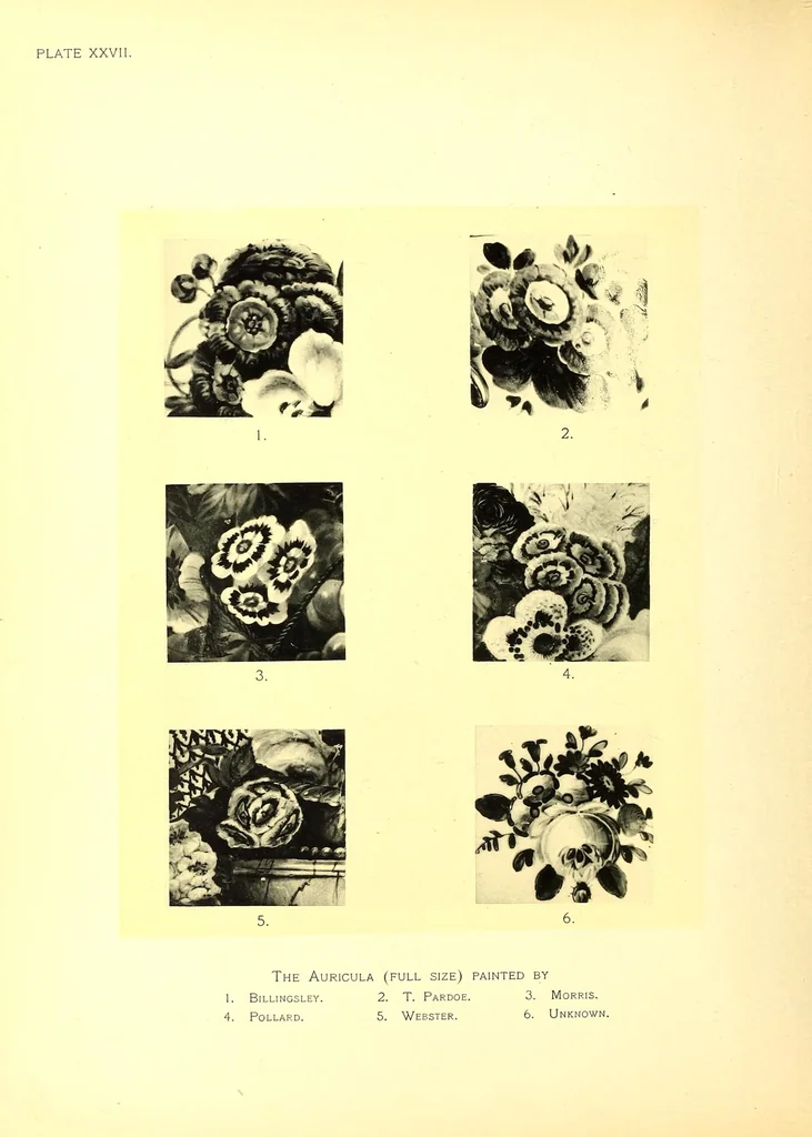 An illustration from The ceramics of Swansea and Nantgarw: a history of the factories. With biographical notices of the artists and others, notes on the merits of the porcelains, the marks thereon, etc, 1897, leaf 346