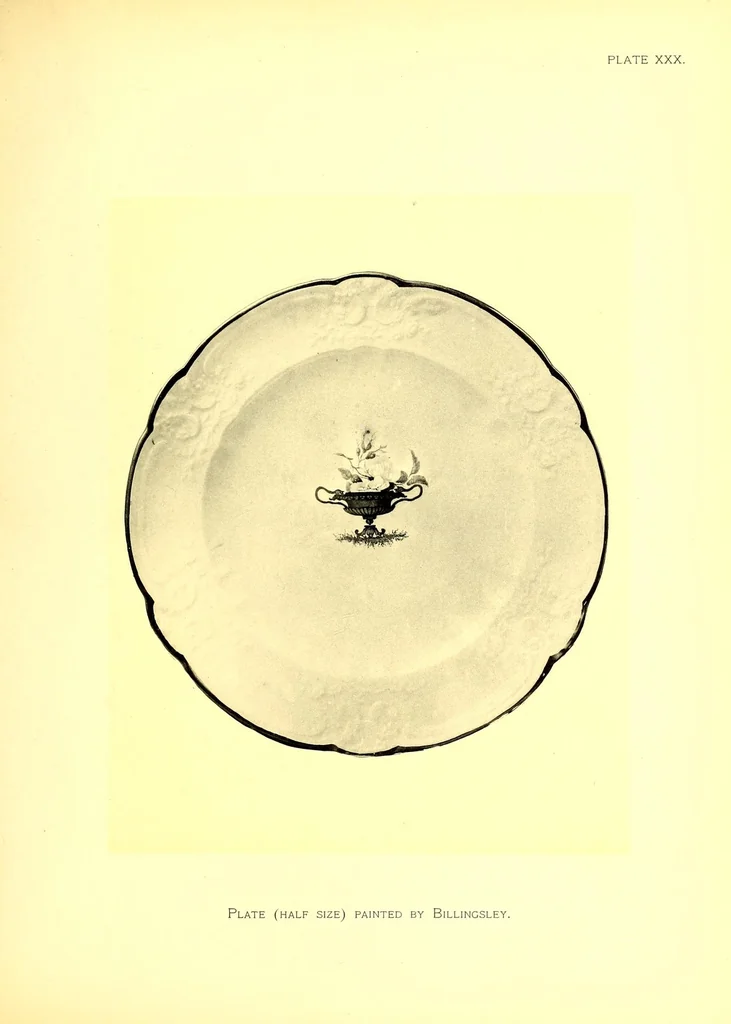 An illustration from The ceramics of Swansea and Nantgarw: a history of the factories. With biographical notices of the artists and others, notes on the merits of the porcelains, the marks thereon, etc, 1897, leaf 387