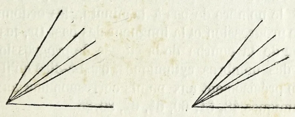 An illustration from Cercle chromatique : présentant tous les compléments et toutes les harmonies de couleurs avec une introduction sur la théorie générale du contraste, du rythme et de la mesure, 1888, leaf 49