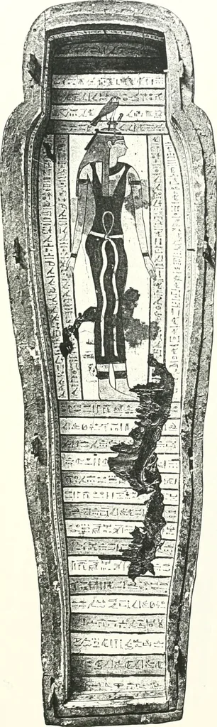 An illustration from Cercueils anthropoïdes des prêtres de Montou, 1913, leaf 212