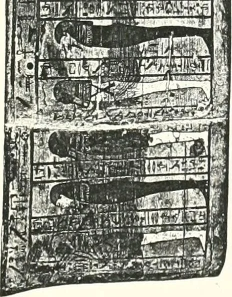 An illustration from Cercueils anthropoïdes des prêtres de Montou, 1913, leaf 228