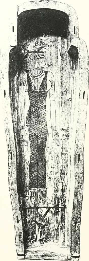 An illustration from Cercueils anthropoïdes des prêtres de Montou, 1913, leaf 236