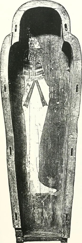 An illustration from Cercueils anthropoïdes des prêtres de Montou, 1913, leaf 248