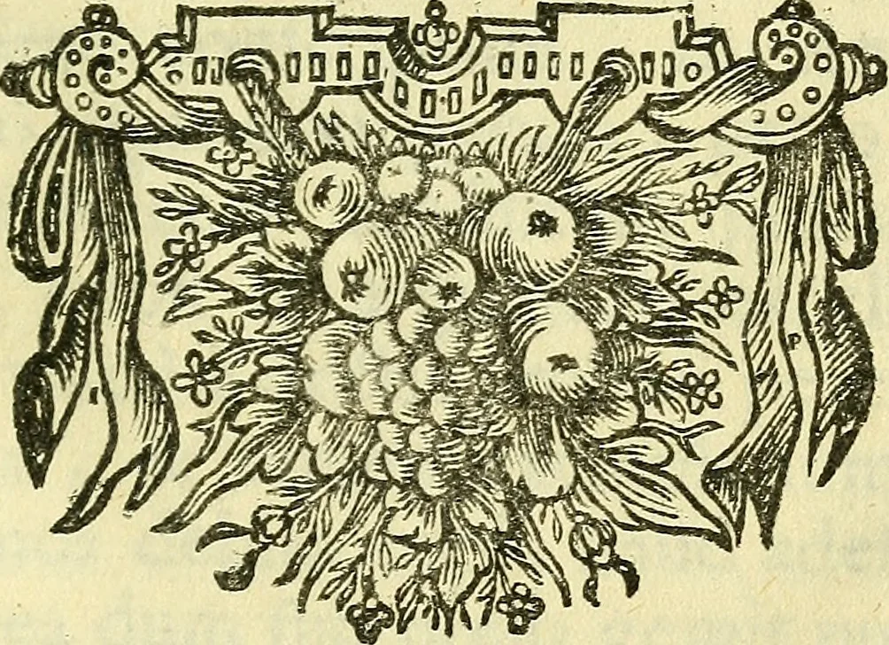 An illustration from Cerebri anatome : cui accessit nervorum descriptio et usus, 1666, leaf 398