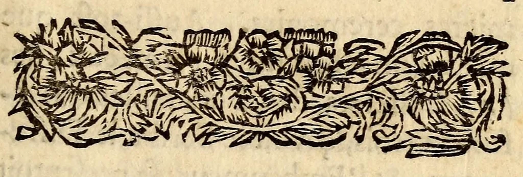 An illustration from Ceremonies funebres de toutes les nations., 1679, leaf 11