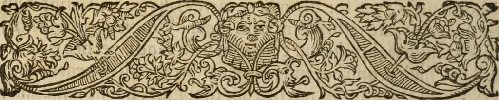 An illustration from Certain godly and learned sermons, preached by that worthy servant of Christ M. Ed. Philips in S. Saviors in Southwarke ..., 1607, leaf 101