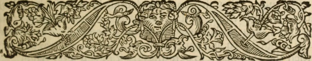 An illustration from Certain godly and learned sermons, preached by that worthy servant of Christ M. Ed. Philips in S. Saviors in Southwarke ..., 1607, leaf 156