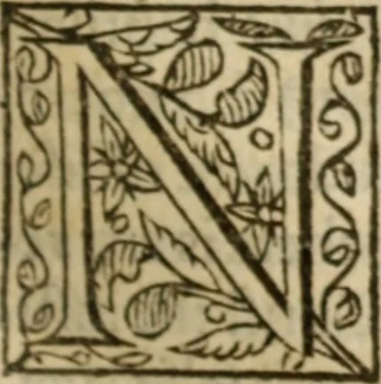 An illustration from Certain godly and learned sermons, preached by that worthy servant of Christ M. Ed. Philips in S. Saviors in Southwarke ..., 1607, leaf 156