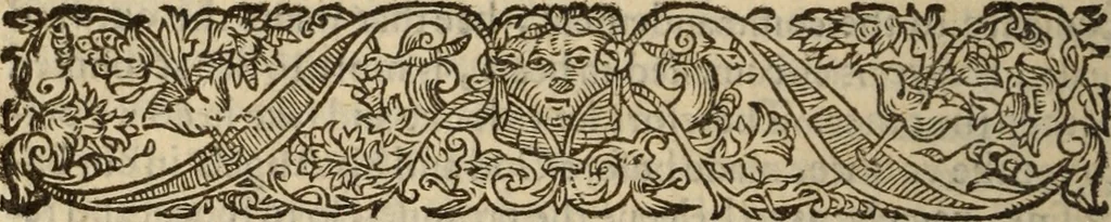 An illustration from Certain godly and learned sermons, preached by that worthy servant of Christ M. Ed. Philips in S. Saviors in Southwarke ..., 1607, leaf 163