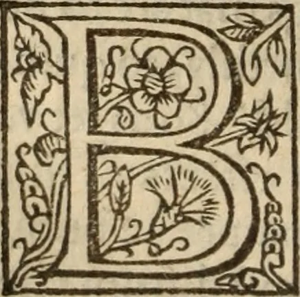 An illustration from Certain godly and learned sermons, preached by that worthy servant of Christ M. Ed. Philips in S. Saviors in Southwarke ..., 1607, leaf 163