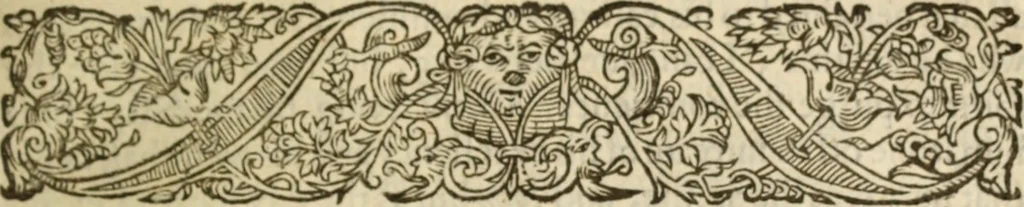 An illustration from Certain godly and learned sermons, preached by that worthy servant of Christ M. Ed. Philips in S. Saviors in Southwarke ..., 1607, leaf 174