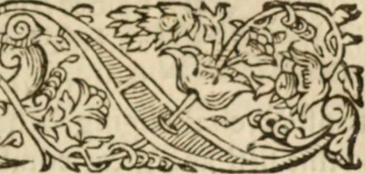 An illustration from Certain godly and learned sermons, preached by that worthy servant of Christ M. Ed. Philips in S. Saviors in Southwarke ..., 1607, leaf 190