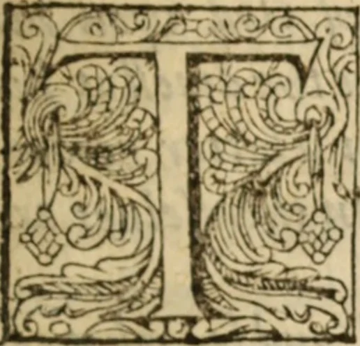 An illustration from Certain godly and learned sermons, preached by that worthy servant of Christ M. Ed. Philips in S. Saviors in Southwarke ..., 1607, leaf 24