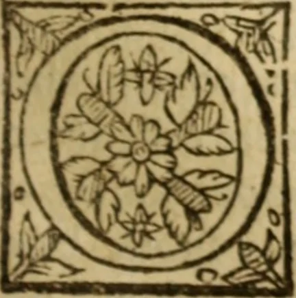 An illustration from Certain godly and learned sermons, preached by that worthy servant of Christ M. Ed. Philips in S. Saviors in Southwarke ..., 1607, leaf 246