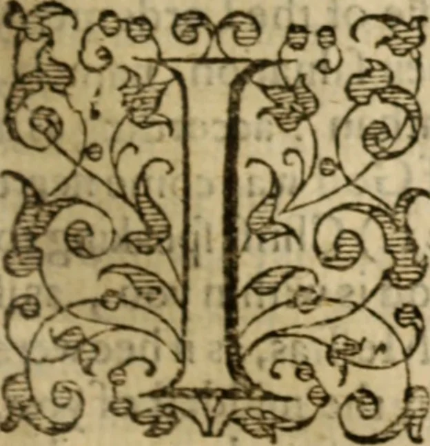 An illustration from Certain godly and learned sermons, preached by that worthy servant of Christ M. Ed. Philips in S. Saviors in Southwarke ..., 1607, leaf 252