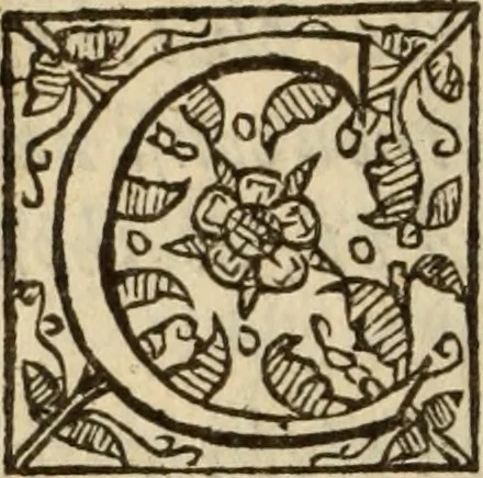 An illustration from Certain godly and learned sermons, preached by that worthy servant of Christ M. Ed. Philips in S. Saviors in Southwarke ..., 1607, leaf 27