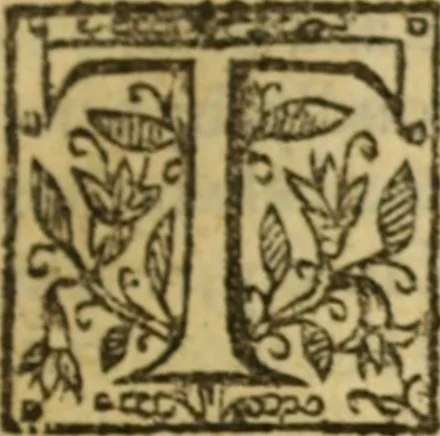 An illustration from Certain godly and learned sermons, preached by that worthy servant of Christ M. Ed. Philips in S. Saviors in Southwarke ..., 1607, leaf 274