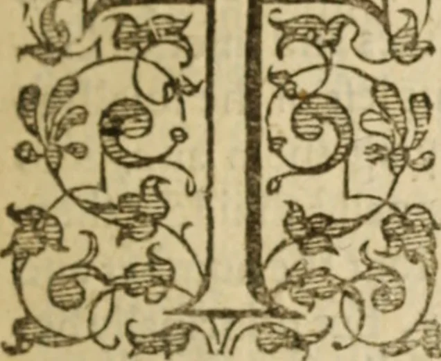 An illustration from Certain godly and learned sermons, preached by that worthy servant of Christ M. Ed. Philips in S. Saviors in Southwarke ..., 1607, leaf 30
